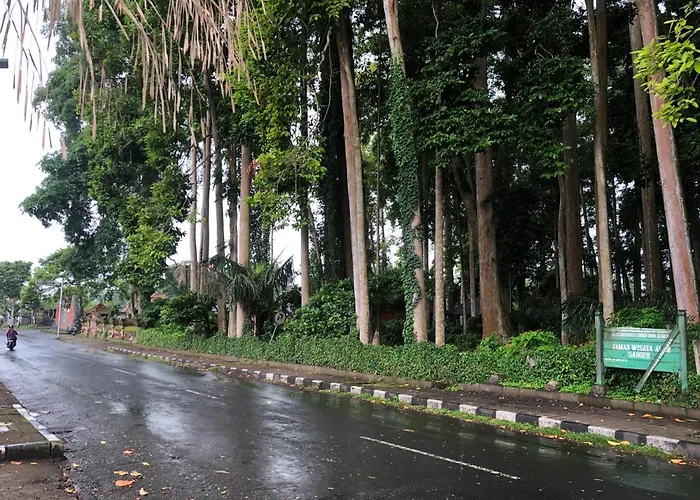 Shindu Affittacamere Pemuteran